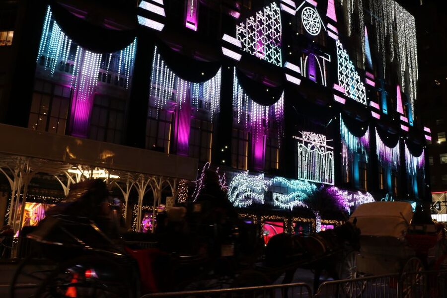 NYC: Magical Christmas Lights Carriage Ride - What the 45-minute route gives you