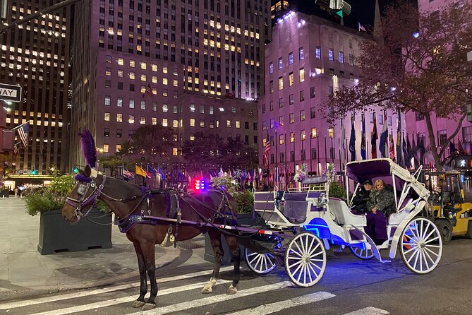 NYC : Magical Christmas Lights Private Horse Carriage Ride - Key points at a glance