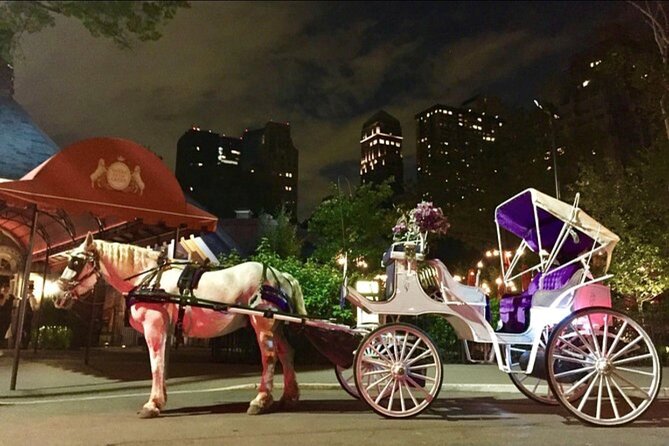 NYC : Magical Christmas Lights Private Horse Carriage Ride - Starting at 200 Central Park South