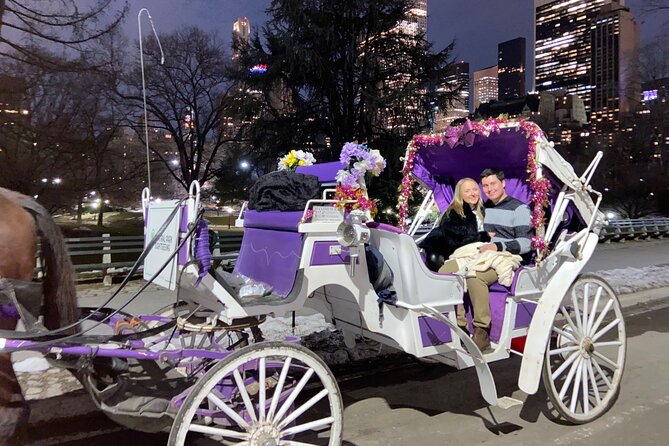 NYC : Magical Christmas Lights Private Horse Carriage Ride - Built-in photo time, with practical limits