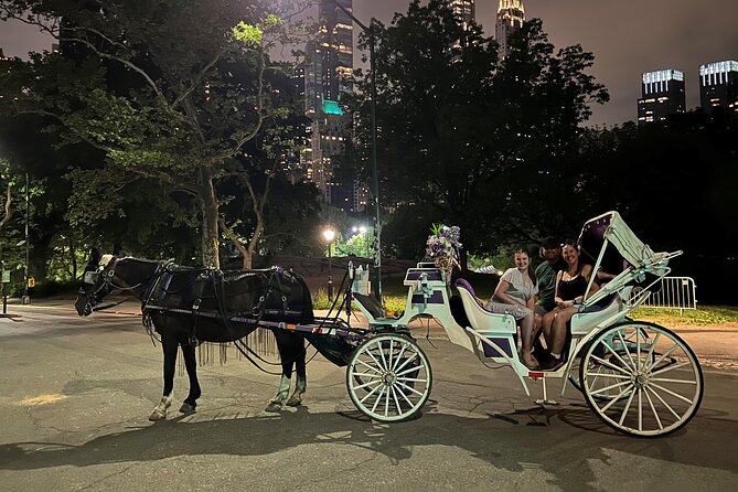NYC : Magical Christmas Lights Private Horse Carriage Ride - Drivers make a noticeable difference
