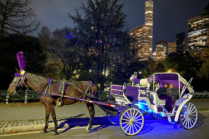 NYC : Magical Christmas Lights Private Horse Carriage Ride - Central Park at carriage pace