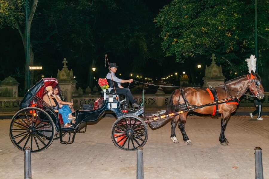 NYC MOONLIGHT HORSE CARRIAGE RIDE through Central Park - Key points to know before booking