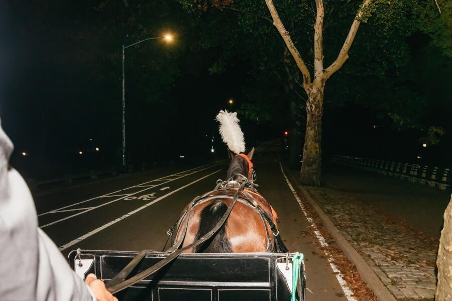 NYC MOONLIGHT HORSE CARRIAGE RIDE through Central Park - Guide quality and the main caution