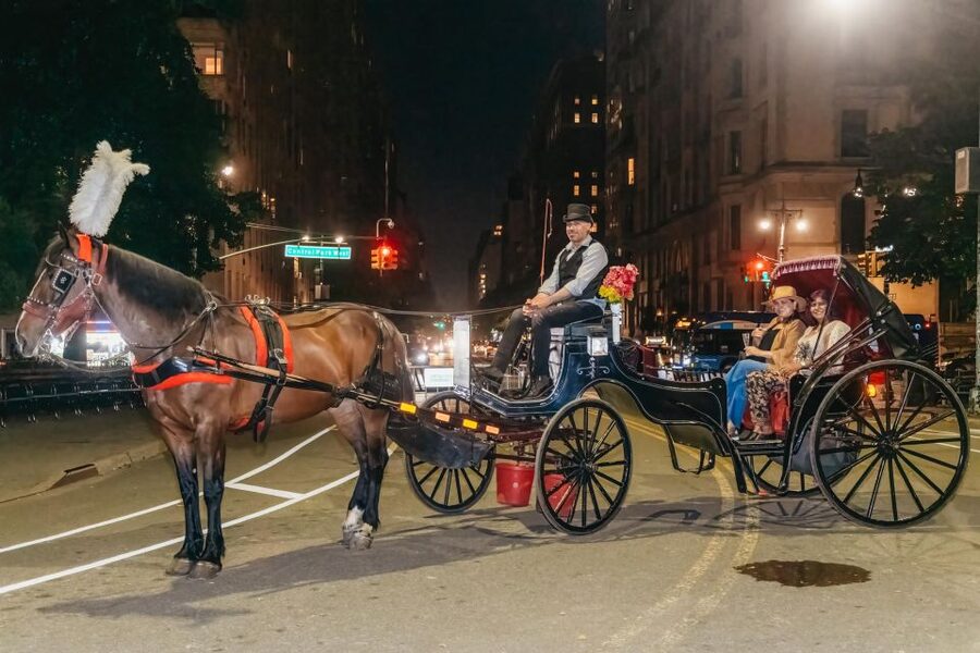 NYC MOONLIGHT HORSE CARRIAGE RIDE through Central Park - Starting beside Central Park South