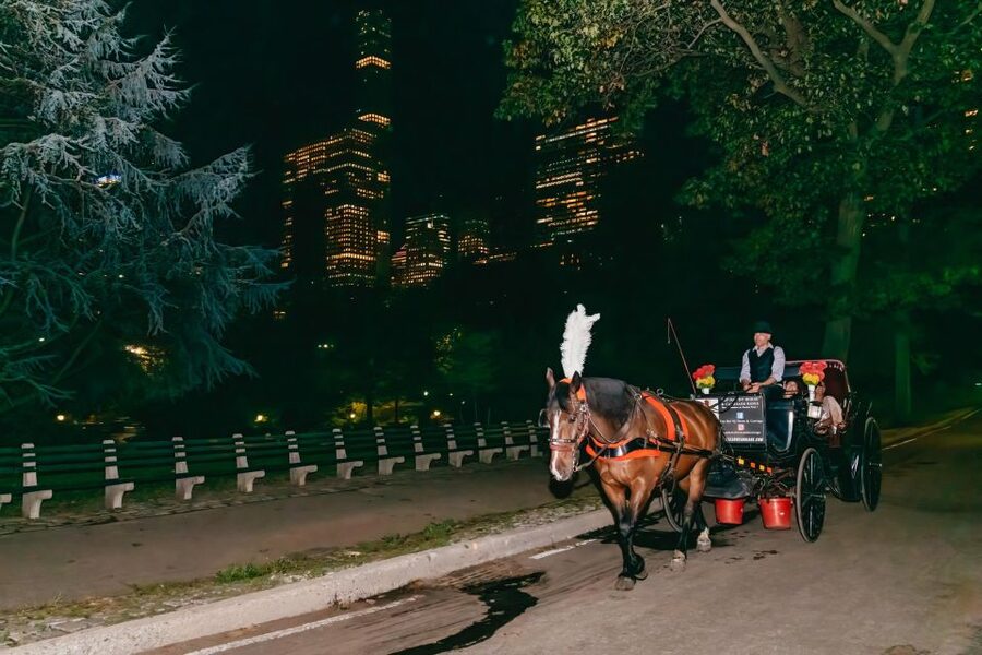 NYC MOONLIGHT HORSE CARRIAGE RIDE through Central Park - The southern route: Cop Cot, Wollman Rink, and the Chess & Checkers House