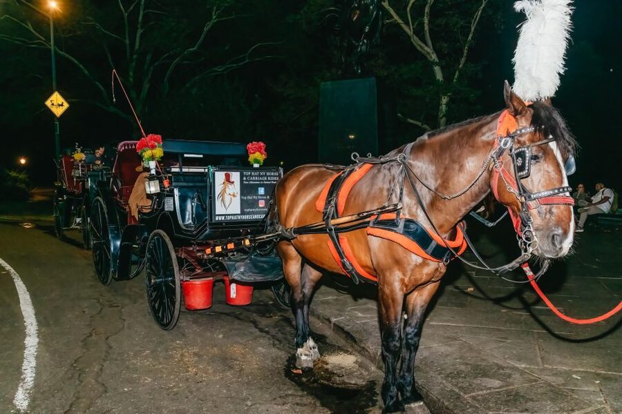 NYC MOONLIGHT HORSE CARRIAGE RIDE through Central Park - Cherry Hill and Bow Bridge after sunset