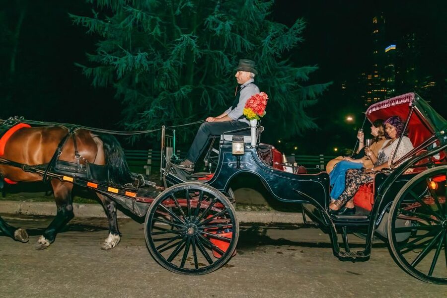 NYC MOONLIGHT HORSE CARRIAGE RIDE through Central Park - The Dakota, Strawberry Fields, and Tavern on the Green