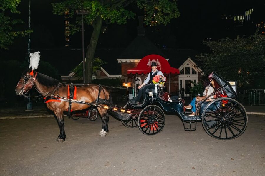 NYC MOONLIGHT HORSE CARRIAGE RIDE through Central Park - What the warm blanket and horse interaction add