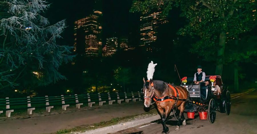NYC MOONLIGHT HORSE CARRIAGE RIDE through Central Park - Why Central Park works well after dark