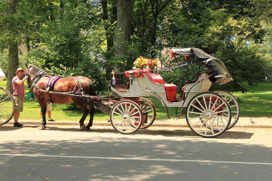 NYC Private Central Park Horse Carriage Ride with Guide - Key points to know before booking