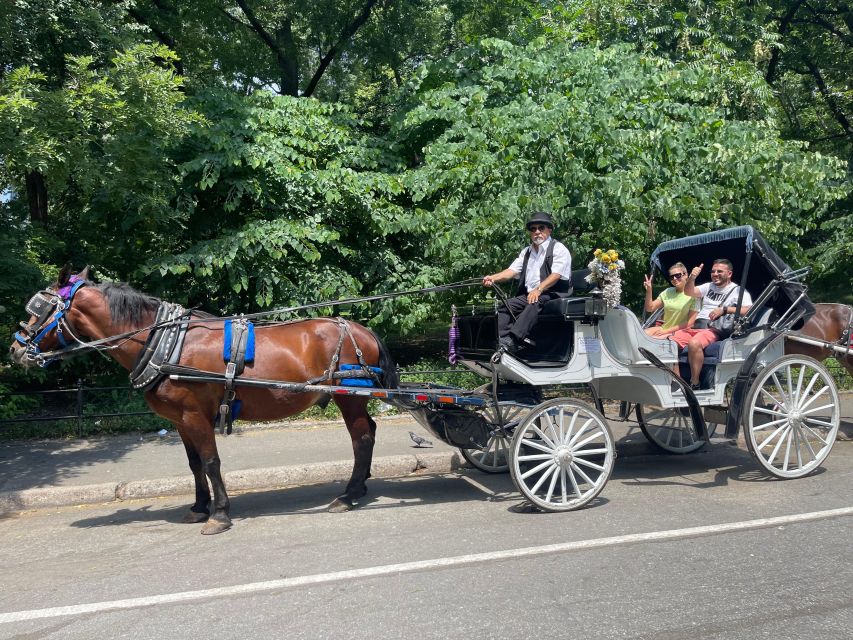 NYC Private Central Park Horse Carriage Ride with Guide - Price, flexibility, and practical value