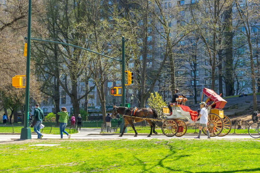 NYC Private Central Park Horse Carriage Ride with Guide - A quiet start at Central Park South