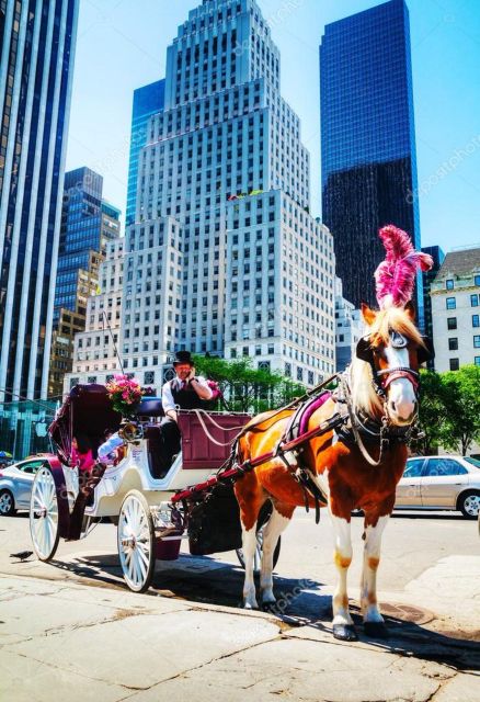 NYC Private Central Park Horse Carriage Ride with Guide - Bow Bridge and the lake view
