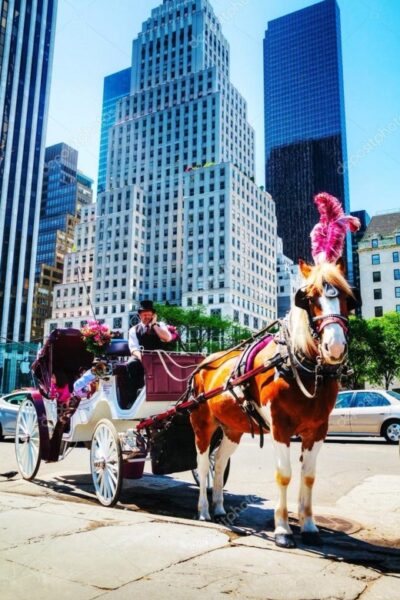 NYC: Private Central Park Horse Carriage Ride with Guide