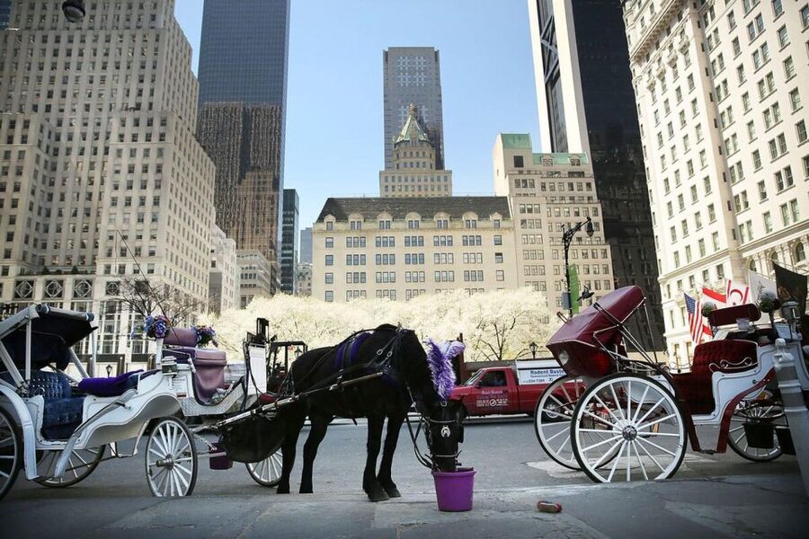 NYC Private Central Park Horse Carriage Ride with Guide - Cherry Hill, Strawberry Fields, and Columbus Circle