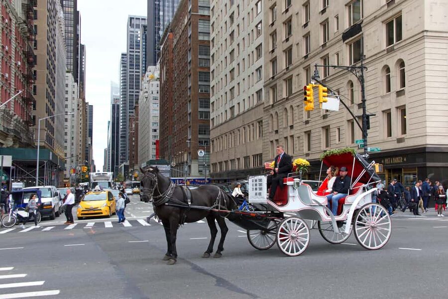 NYC Private Central Park Horse Carriage Ride with Guide - How long is enough for Central Park?