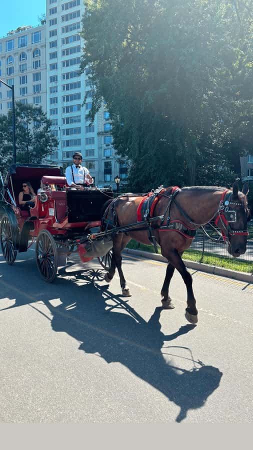 NYC: Private Central Park Horse-Drawn Carriage Tour - Key points to know before booking