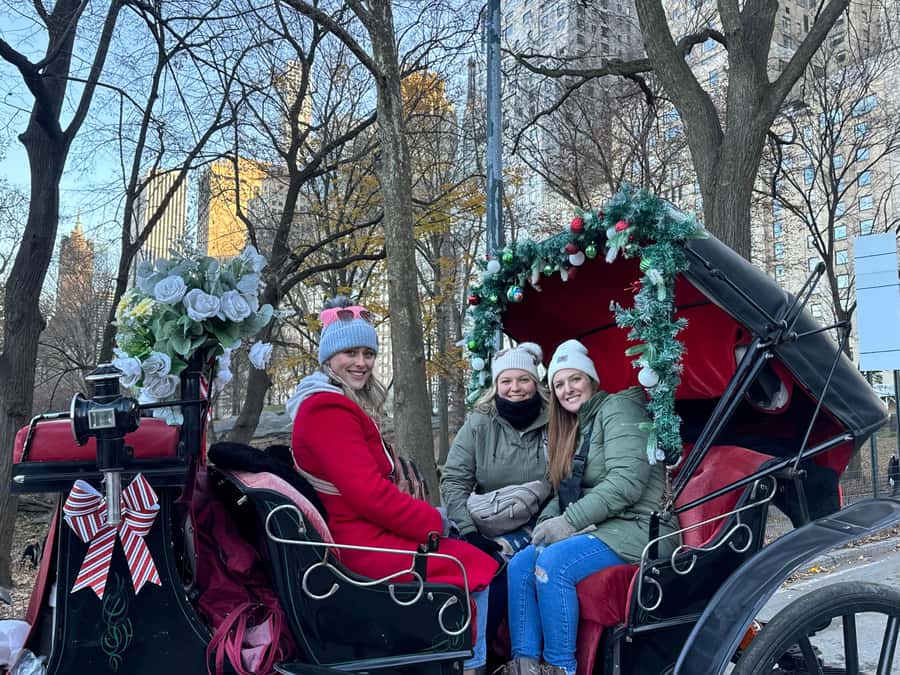 NYC: Private Central Park Horse-Drawn Carriage Tour - Blankets, horse treats, and the small details