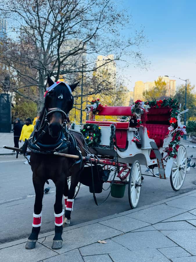 NYC: Private Central Park Horse-Drawn Carriage Tour - Is $150 a fair price?