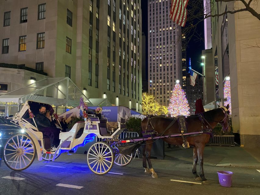 NYC: Private Christmas Lights Horse Carriage Ride - Key points to know before booking