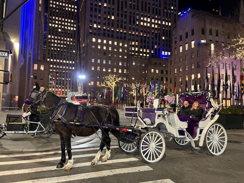 NYC: Private Christmas Lights Horse Carriage Ride - What the carriage and horse add to the evening