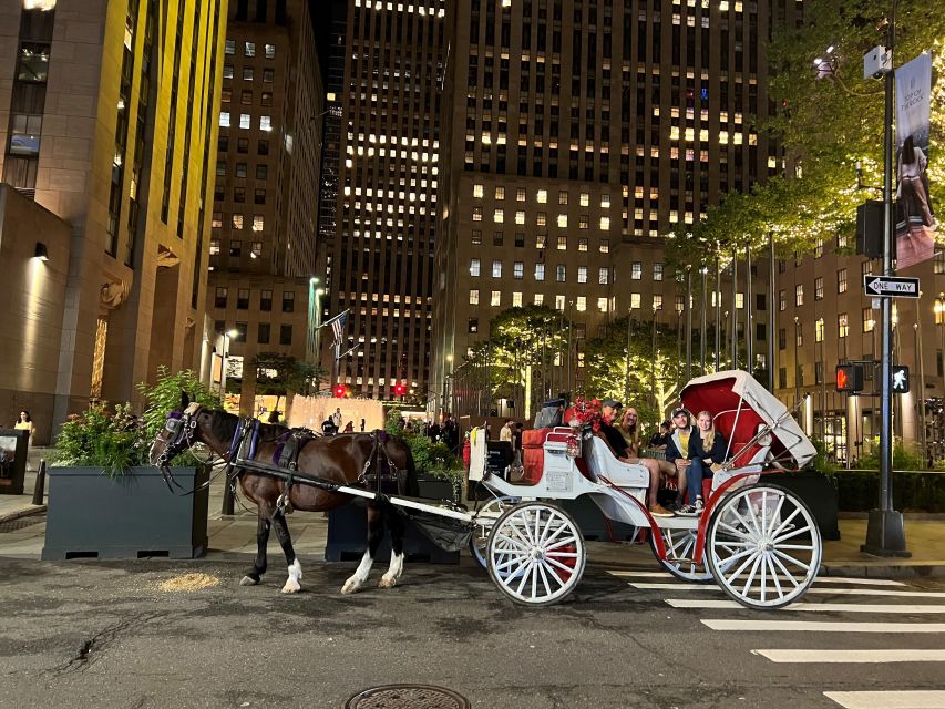 NYC: Private Christmas Lights Horse Carriage Ride - Is $350 good value for 50 minutes?