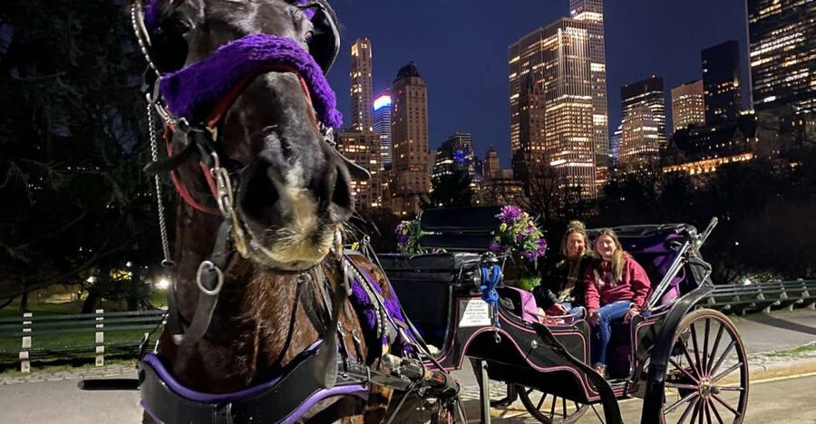 NYC: Private Christmas Lights Horse Carriage Ride - Who should book this carriage ride?