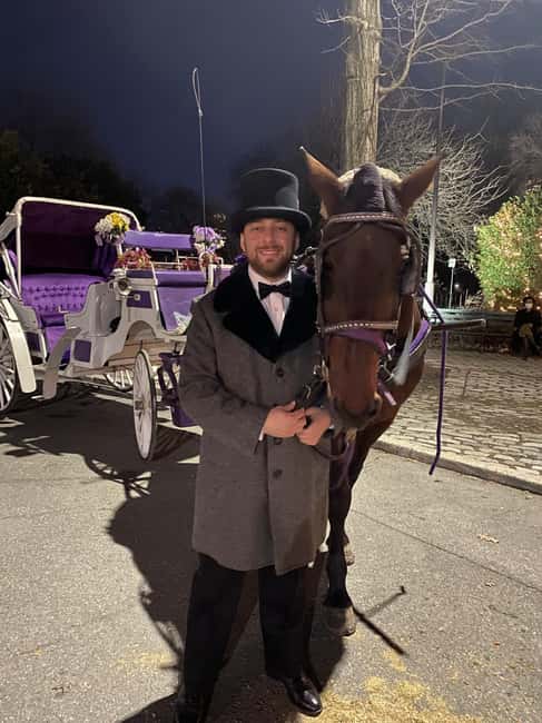 NYC: Private Christmas Lights Horse Carriage Ride - A quiet first look at Central Park
