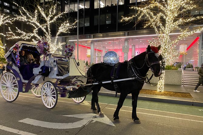 NYC Rockefeller Center Christmas Lights Horse Carriage Ride - Key points to know before booking