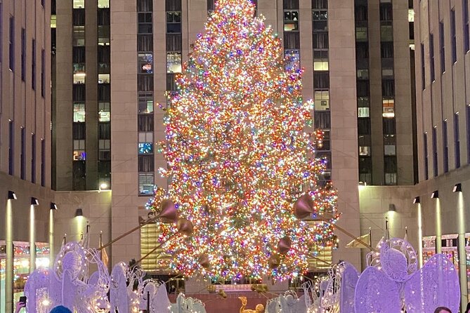 NYC Rockefeller Center Christmas Lights Horse Carriage Ride - Central Park South gives you a festive start