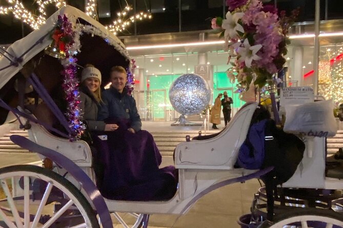 NYC Rockefeller Center Christmas Lights Horse Carriage Ride - The Plaza Hotel and Grand Army Plaza
