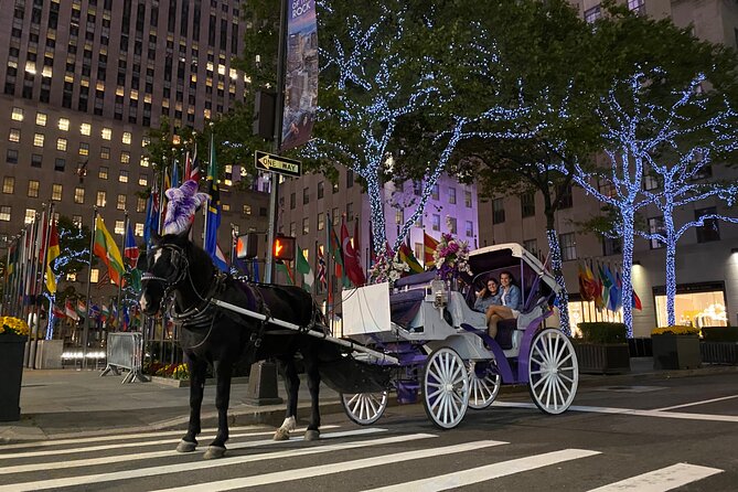 NYC Rockefeller Center Christmas Lights Horse Carriage Ride - Rockefeller Center is the main payoff