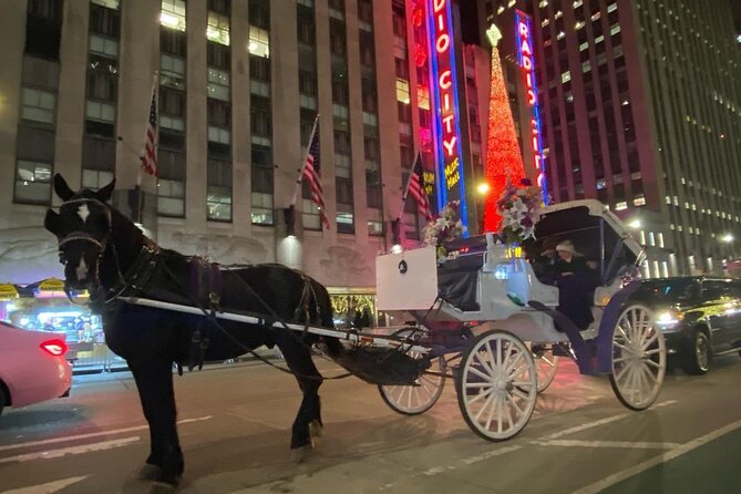 NYC Rockefeller Center Christmas Lights Horse Carriage Ride - Blankets, weather, and carriage comfort