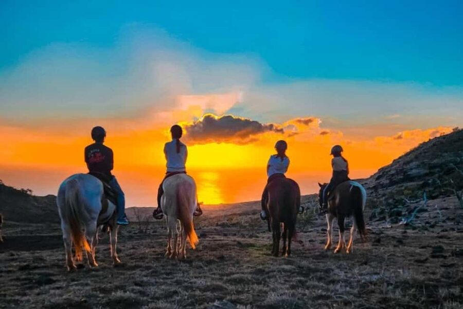 Oahu: Horseback Riding Sunshine or Sunset Tour - Riding a polo pony above Kapolei