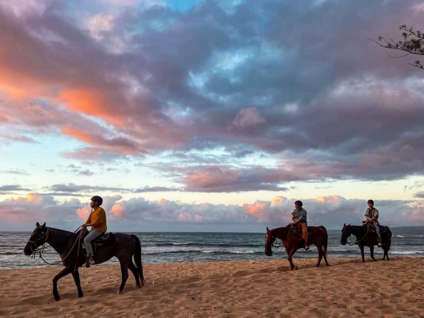 Oahu: Horseback Riding Tour on the North Shore - Meeting your polo pony at the stables