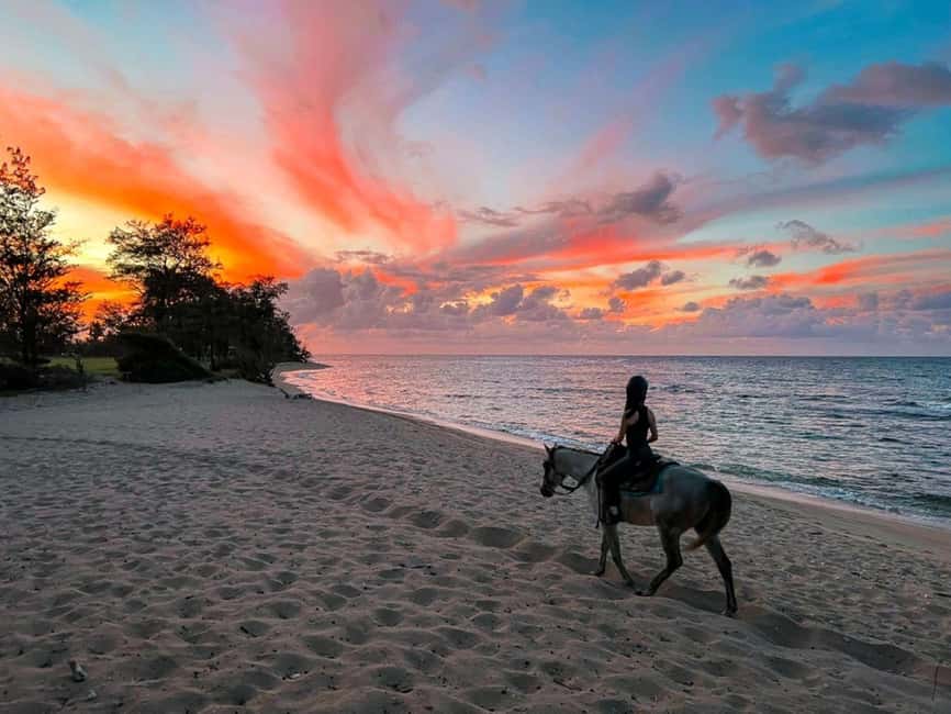Oahu: Horseback Riding Tour on the North Shore - What the trail ride feels like for beginners