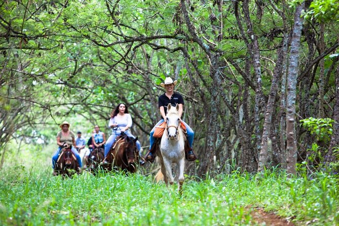 Oahu Sunset Horseback Ride - Gunstock Ranch and the North Shore Setting