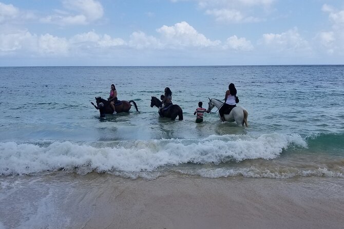 Ocho Rios Private Horse Riding, River Tubing and Rafting[Entry fee not included] - White River bamboo rafting and tubing
