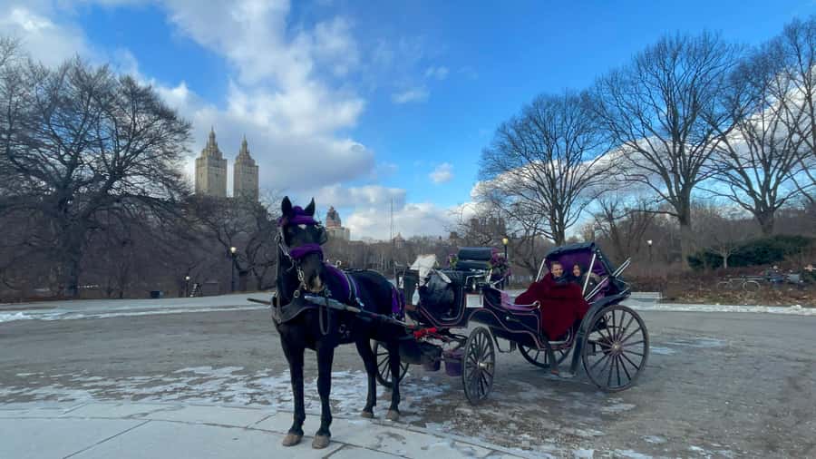 Official Exclusive VIP Horse Carriage Ride in Central Park - Why a private carriage changes Central Park
