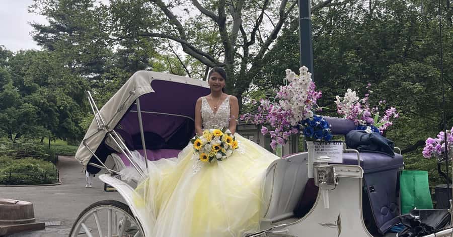 Official Exclusive VIP Horse Carriage Ride in Central Park - The Dairy and Central Park’s smaller stories