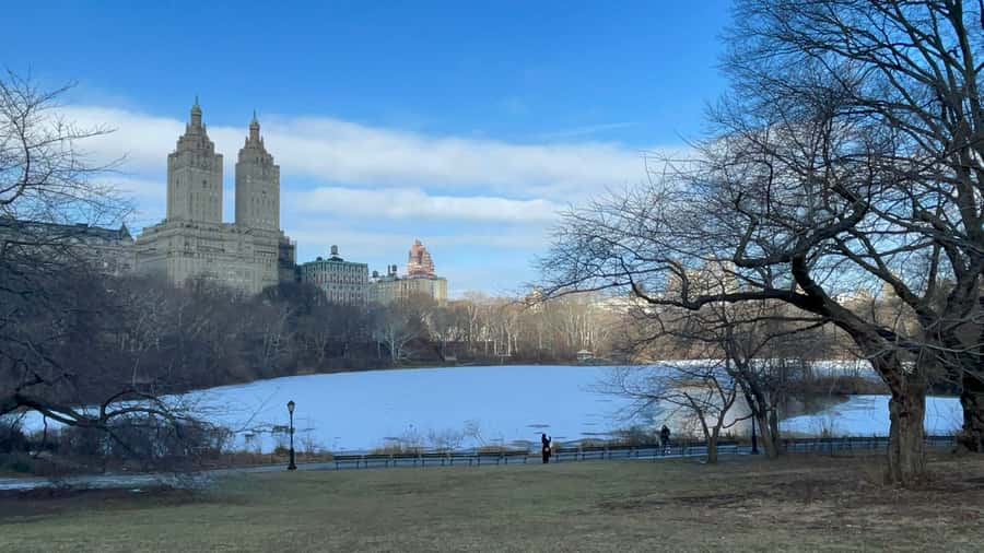 Official Exclusive VIP Horse Carriage Ride in Central Park - Bethesda Fountain and Cherry Hill photo stops