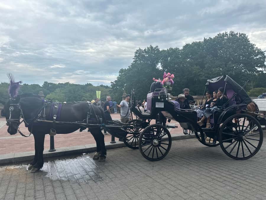 Official Exclusive VIP Horse Carriage Ride in Central Park - Guides, horses, and the feel of the ride