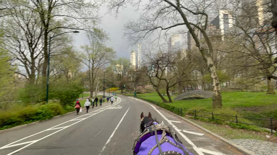 Official Exclusive VIP Horse Carriage Ride in Central Park - Wollman Rink, the Carousel, and Chess and Checkers House