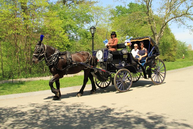 Official NYC Horse Carriage Rides in Central Park since 1979 ™ - Key points at a glance