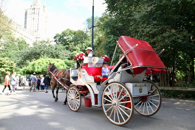 Official NYC Horse Carriage Rides in Central Park since 1979 ™ - Why a carriage is a smart way to see Central Park