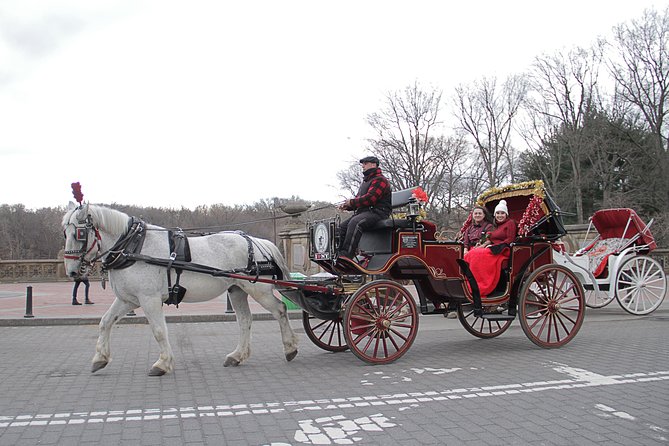 Official NYC Horse Carriage Rides in Central Park since 1979 ™ - Literary Walk and the Balto statue