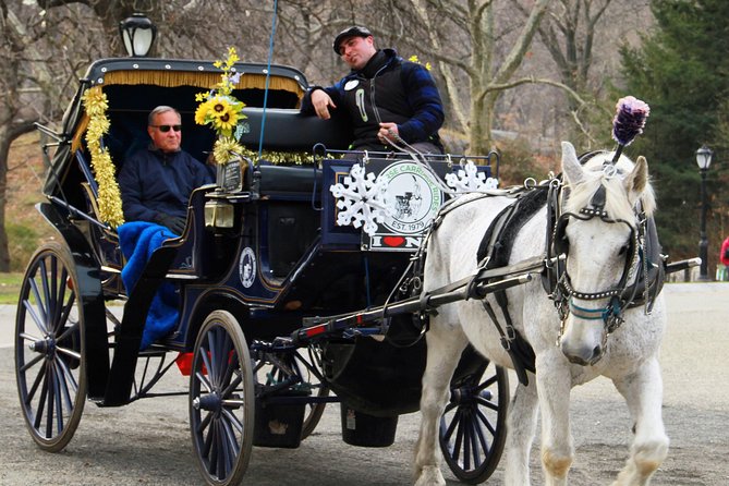 Official NYC Horse Carriage Rides in Central Park since 1979 ™ - Bethesda Terrace and the Lake