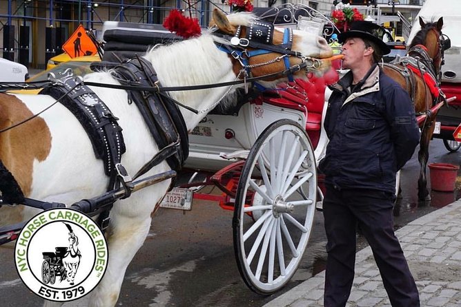 Official NYC Horse Carriage Rides in Central Park since 1979 ™ - Sheep Meadow, Tavern on the Green, and Columbus Circle