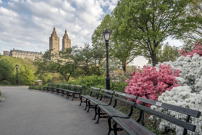 Official NYC Horse Carriage Rides in Central Park since 1979 ™ - What the $99 price really buys you